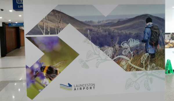 Launceston Airport Wall Graphics