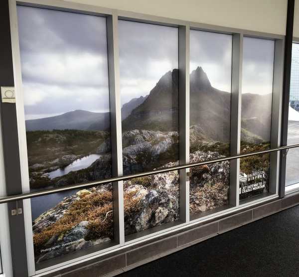 Launceston Airport Window Graphics Interior Design