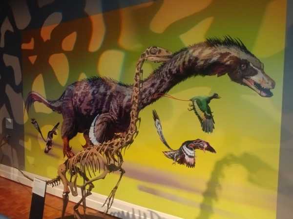 TMAG Dinosaur Revolution wall graphics