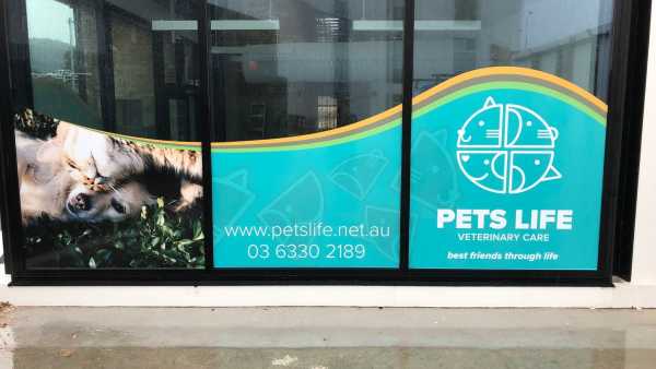 Pets  Life - BuildingSigangeLauncestonWindow