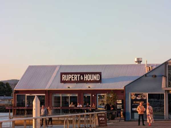 Illuminated sign Rupert Hound
