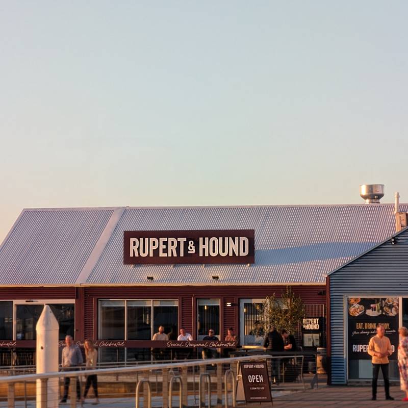 Illuminated sign Rupert Hound
