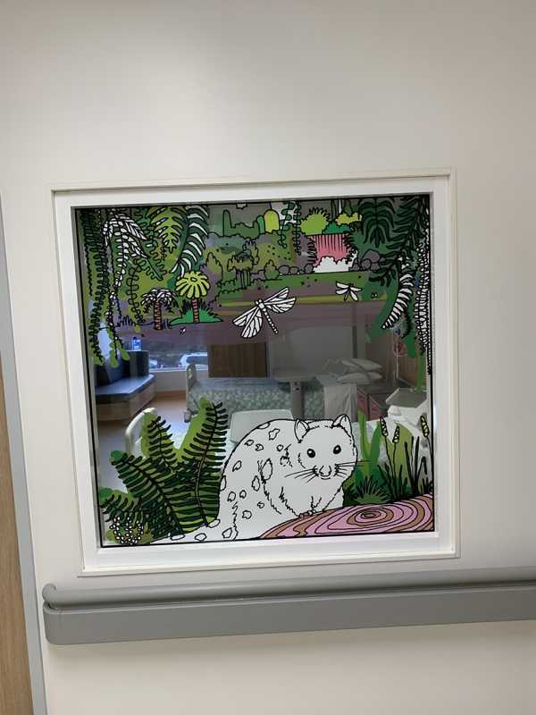 Hospital window graphics childrens ward