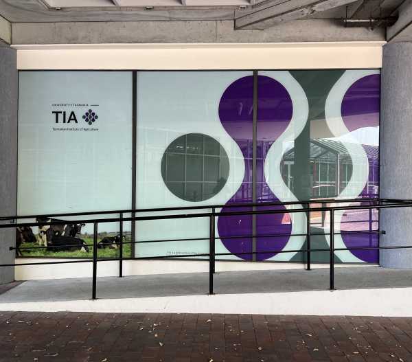 Window Graphics Hobart